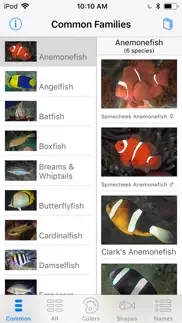 lembeh resort house reef fish iphone screenshot 1