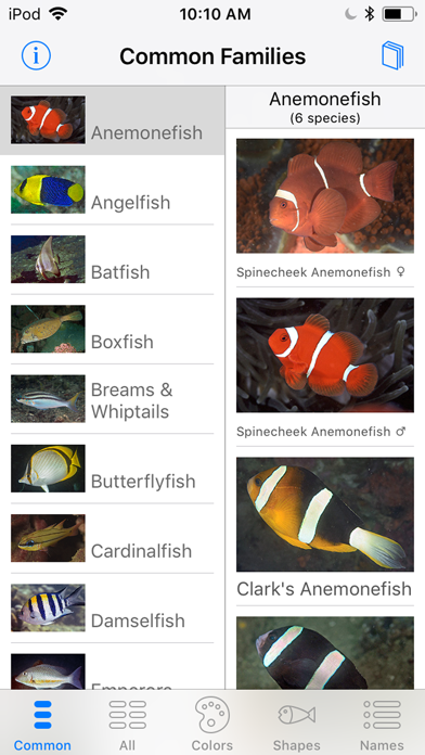 Lembeh Resort House Reef Fish Screenshot