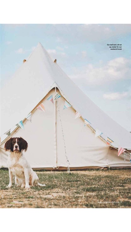 Dog Friendly Magazine