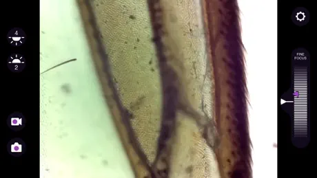 ioLight Microscope