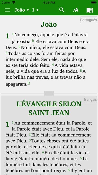 Bible in 14 world languages Screenshot