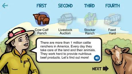 All About Beef