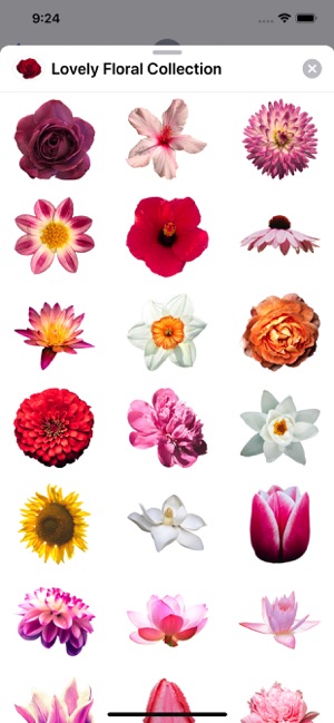 Lovely Flower Collection(圖2)-速報App