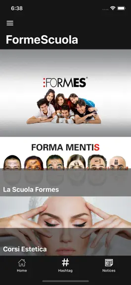 Game screenshot Formes Fa Scuola - Estetica mod apk