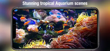 Aquarium Live HD+