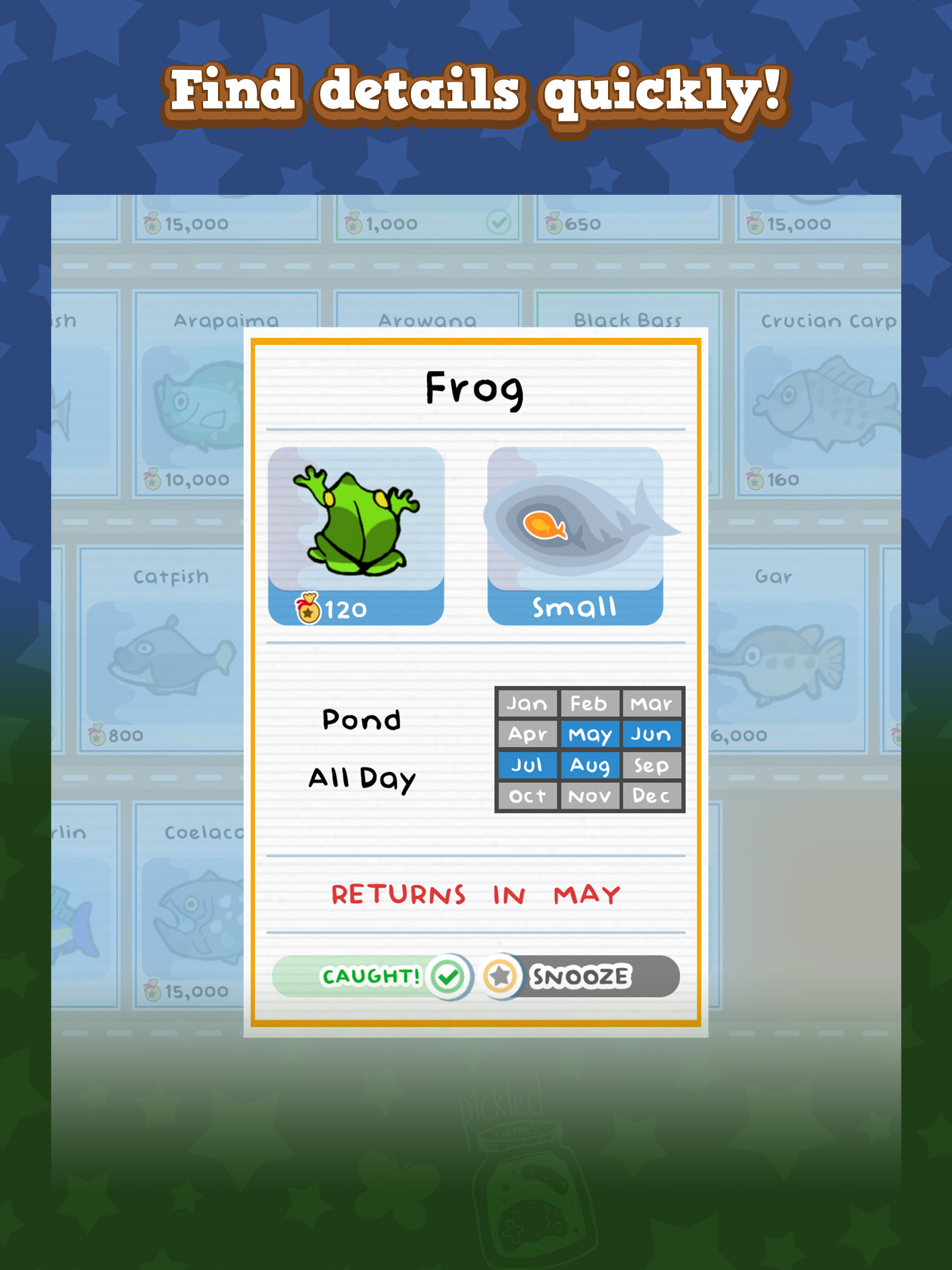 Animal Companion App Guide