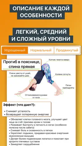 Game screenshot Йога - Упражнения и Тренировки hack