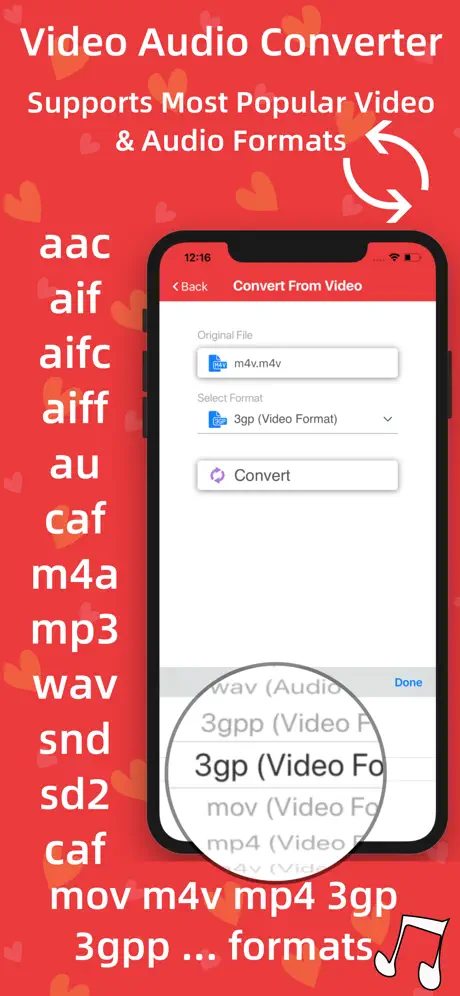 Video Audio Converter