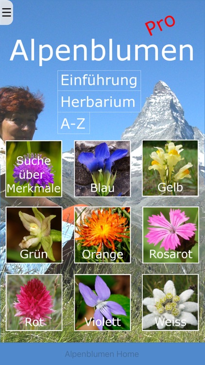 Alpenblumen bestimmen Pro