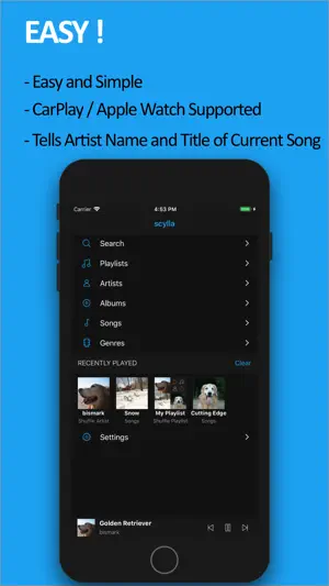 scylla - Hi-Res Music Player screenshot 2