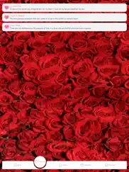 been together love quotes app ipad images 3