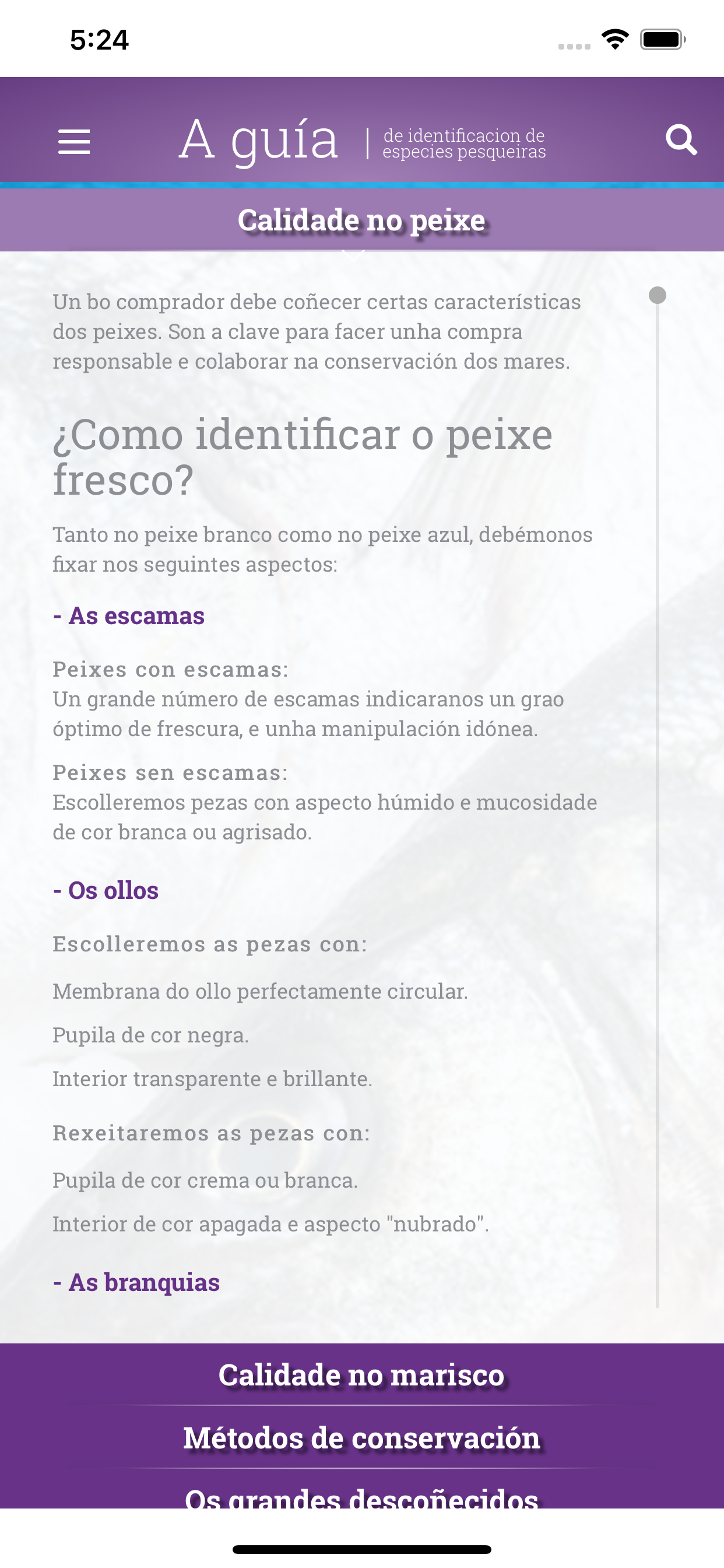 Guía de especies pesqueiras