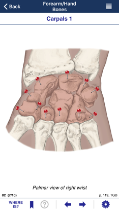 AnatomyMapp screenshot 4
