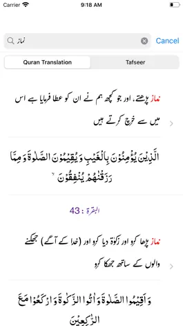 Game screenshot Mufradat ul Quran | Urdu hack
