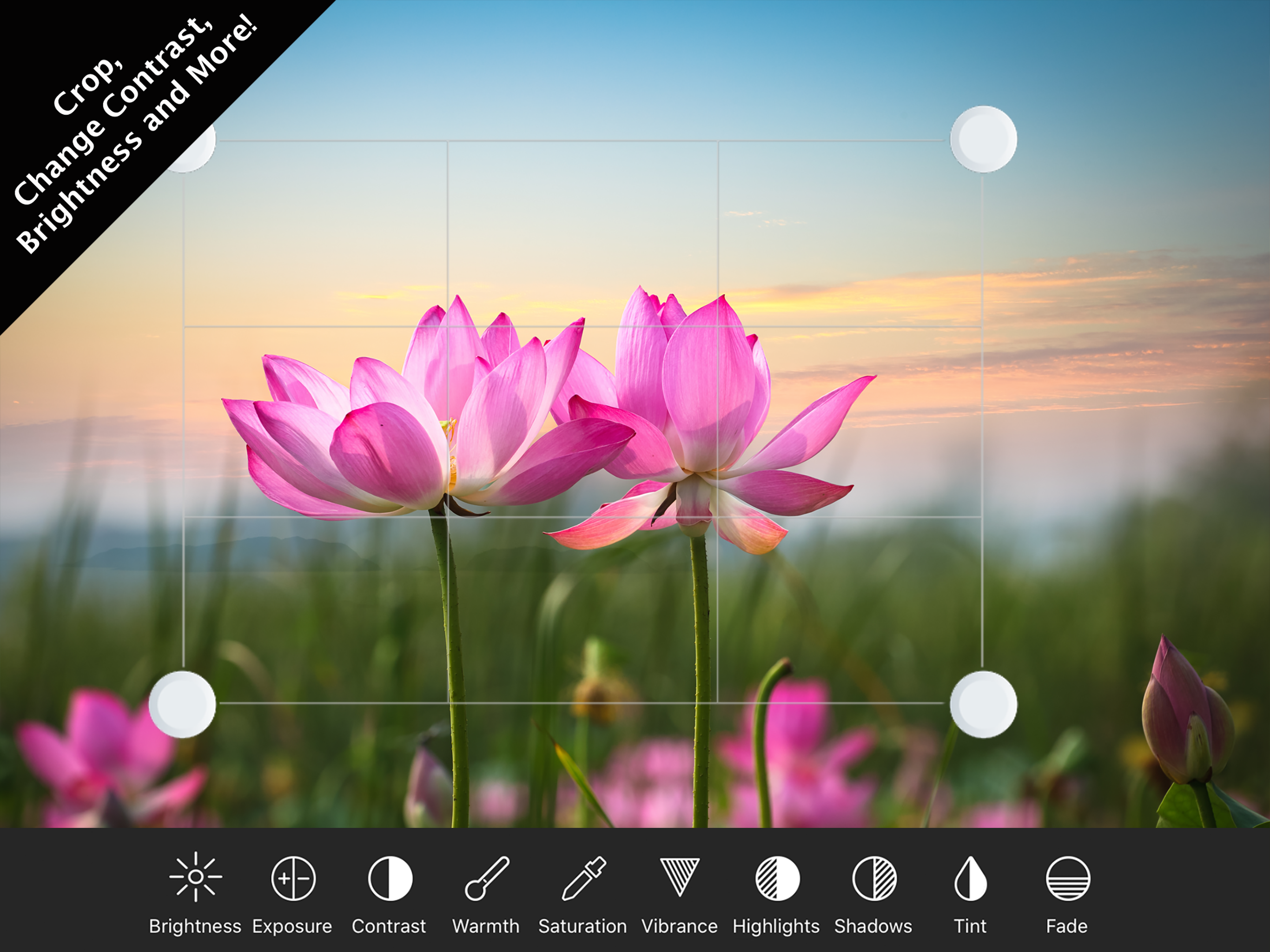 Photo Editor+