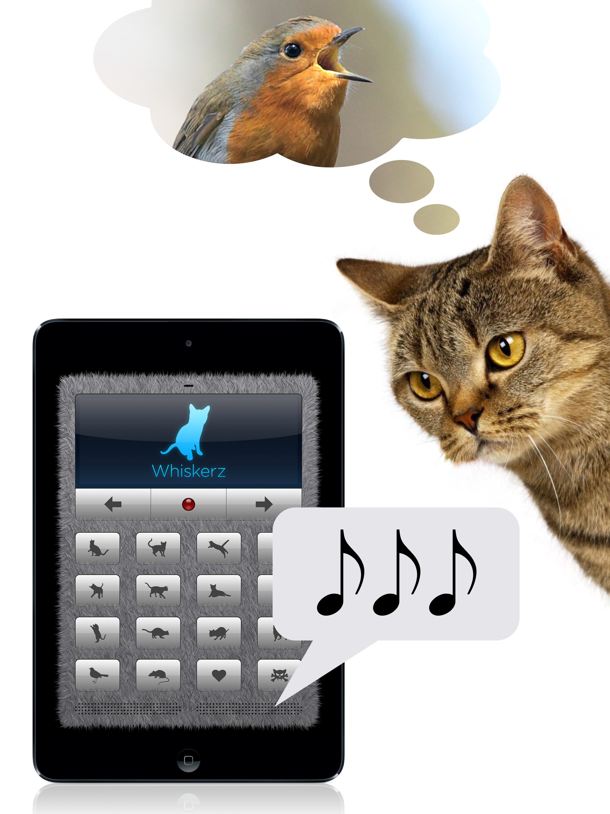 Human-to-Cat Translator Deluxe