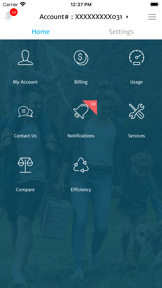 Peoples e-Account screenshot
