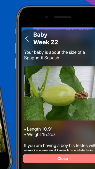 Pregnancy Today - Baby Tracker Screenshot