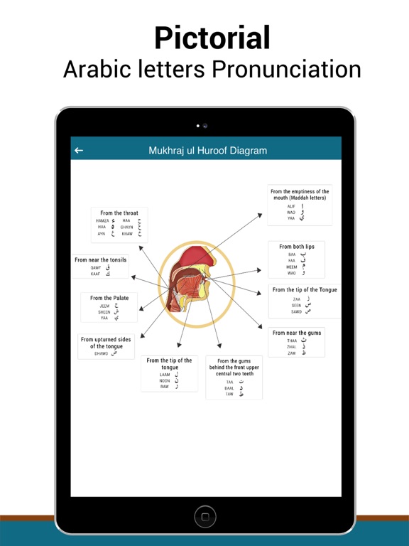 Tajweed Quran-Recitation Rules iPad screenshot 4 - Education app