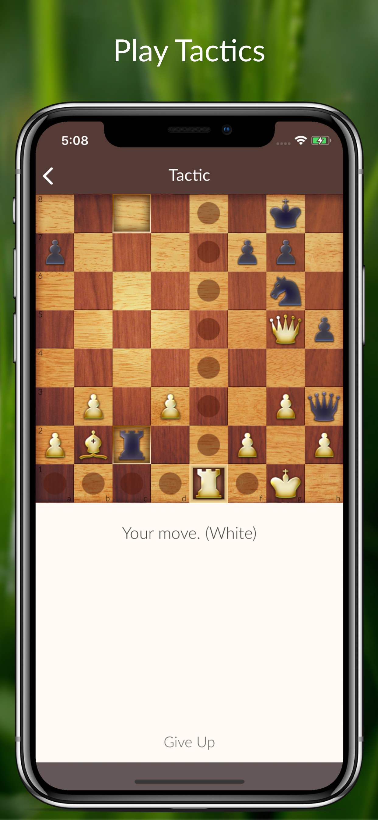 Chess Tactics and Lessons