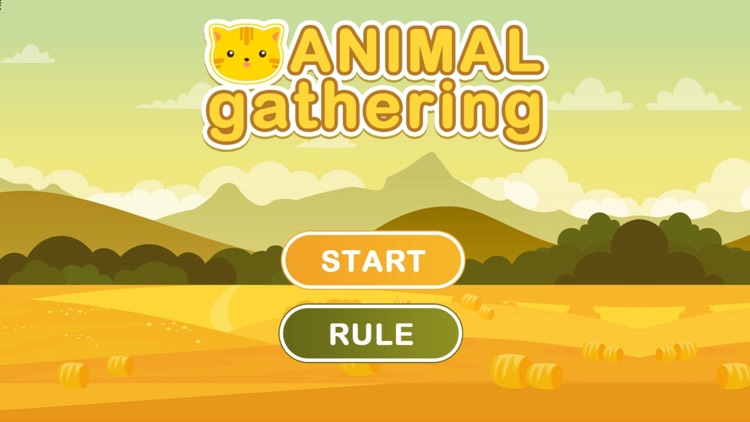 ANIMAL gatherings