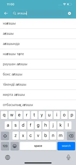 Game screenshot Kazakh English Dictionary apk