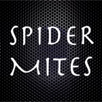 Download SPIDER MITES app