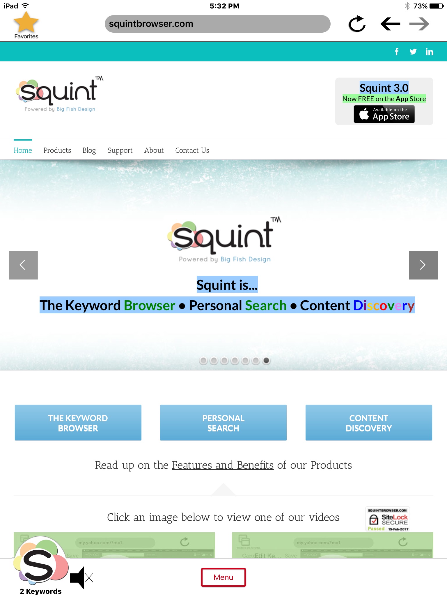 Squint Browser screenshot 4