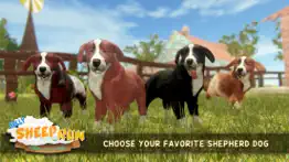 silly sheep run- farm dog game iphone screenshot 3