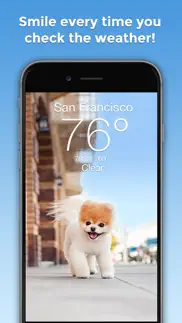 boo weather: pomeranian puppy iphone screenshot 1