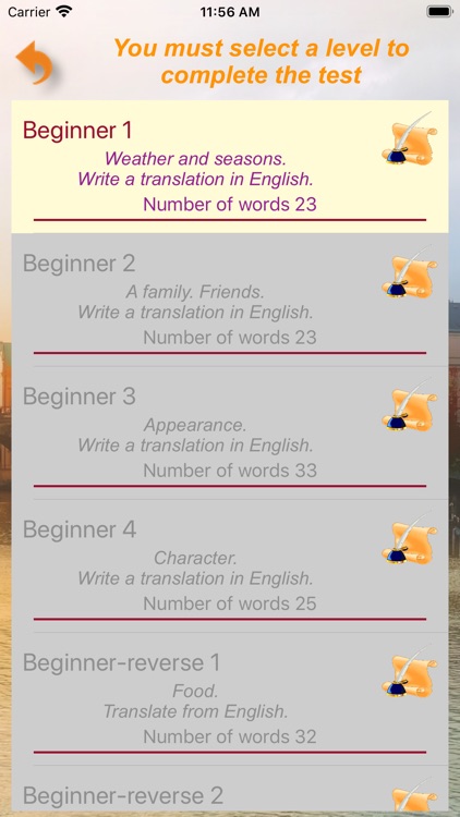 Czech language test screenshot-3