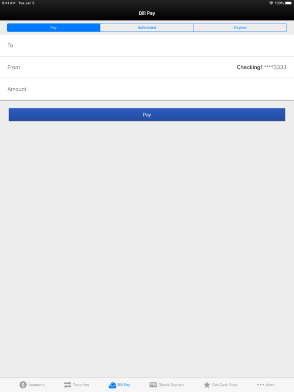 RFCU Mobile Banking iPad screenshot 5 - Finance app