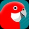 The PIZZEY AND KNIGHT BIRDS OF AUSTRALIA DIGITAL EDITION for iPhone and iPad is a comprehensive and interactive application that combines multimedia data on over 900 Australian bird species with seven interactive modules for every aspect of mobile birding, including the sounds of 750 species