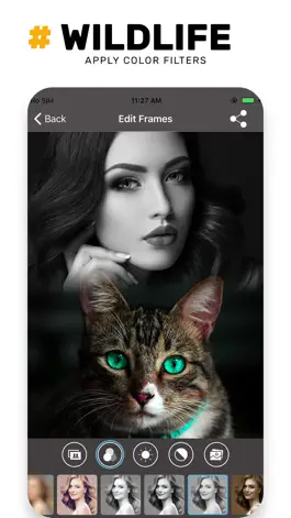 Game screenshot Wildlife Photo Frame Unlimited apk