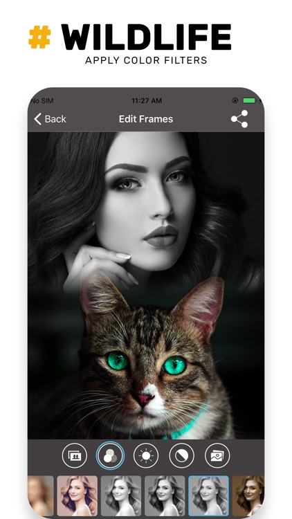 Wildlife Photo Frame Unlimited