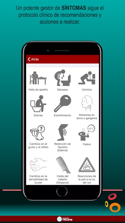 ICOnnecta screenshot-5