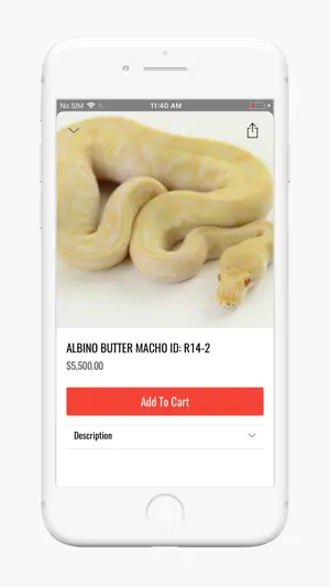 REPTILE TRADE screenshot 2