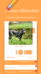 Metasniffer - Metadata Remover screenshot