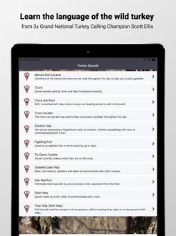 Turkey Tech screenshot 7