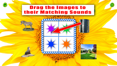 Screenshot #1 pour LETTER-FREE PHONICS for School