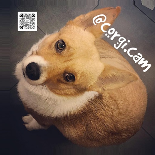 corgi.cam Download
