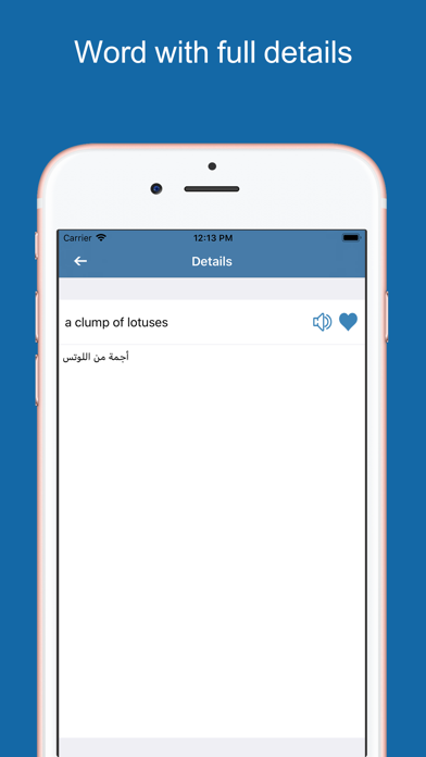 Arabic Dictionary & Translator screenshot 3