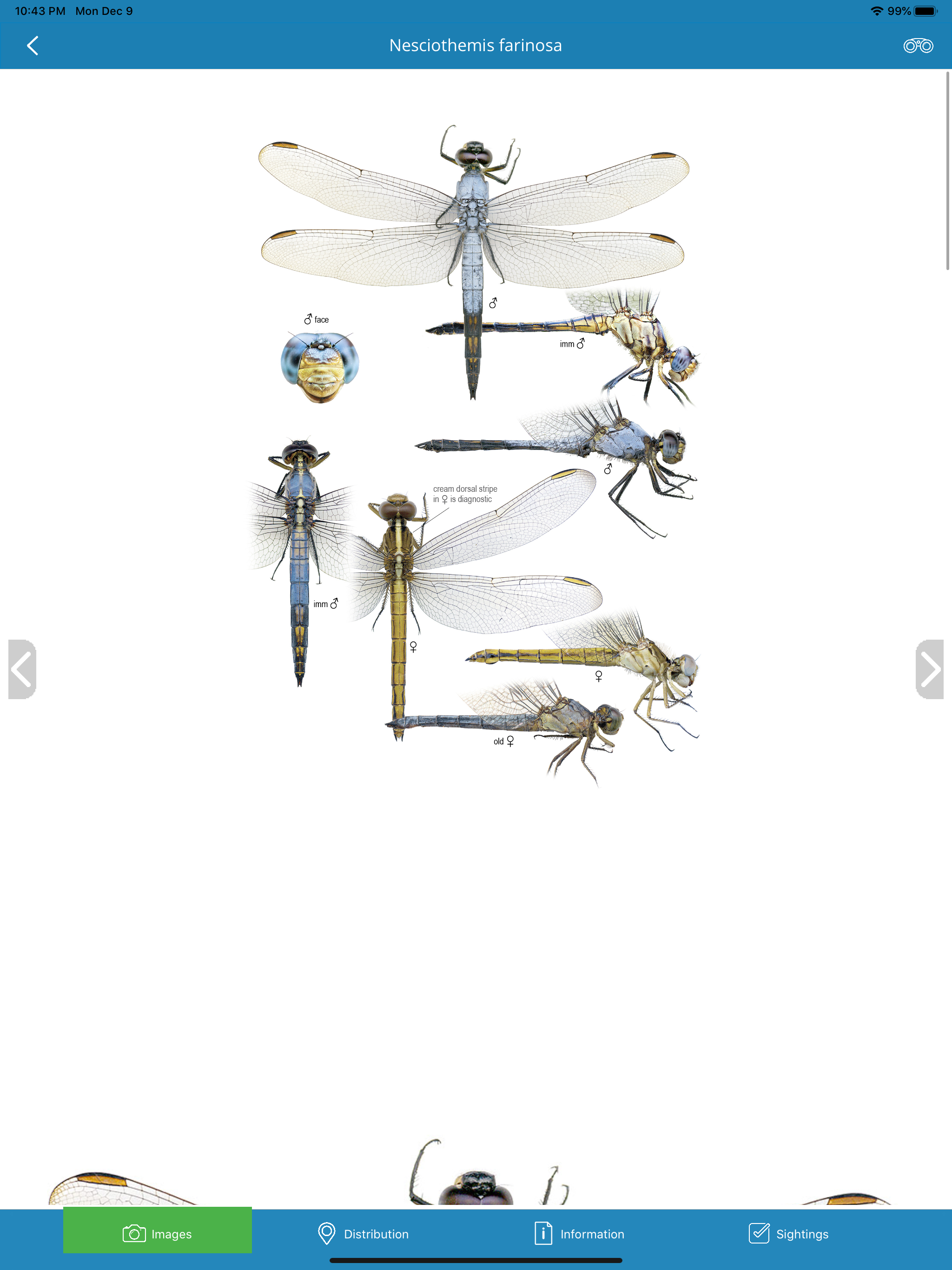 DragonflyPro screenshot 13