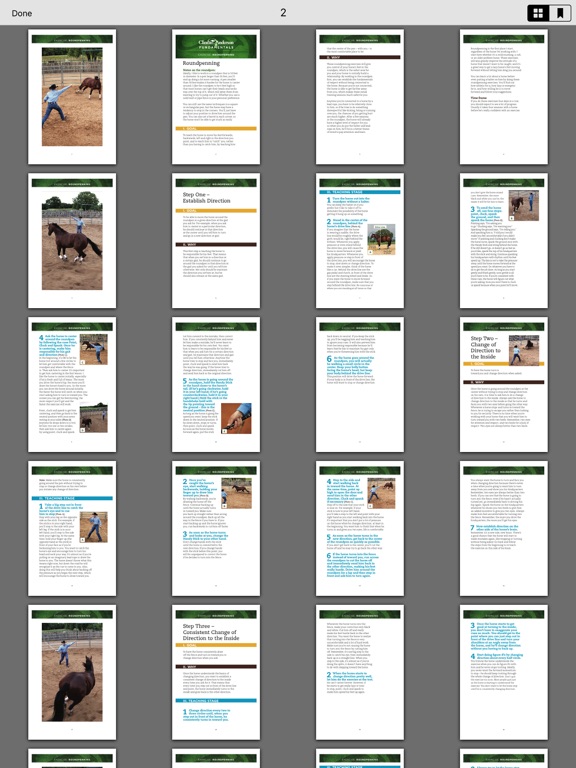 Screenshot #4 pour Downunder Horsemanship