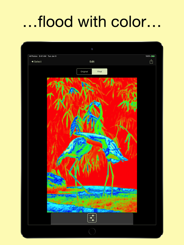 Flood - Photo Effect