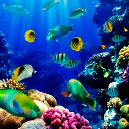 Aquarium Live Wallpapers
