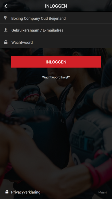 Boxing Company screenshot 2