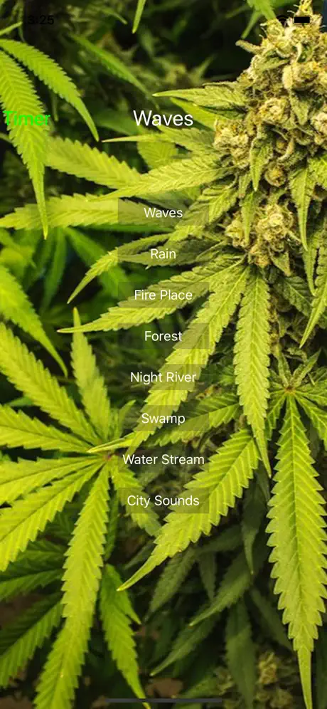 Weed-Laxing Sound