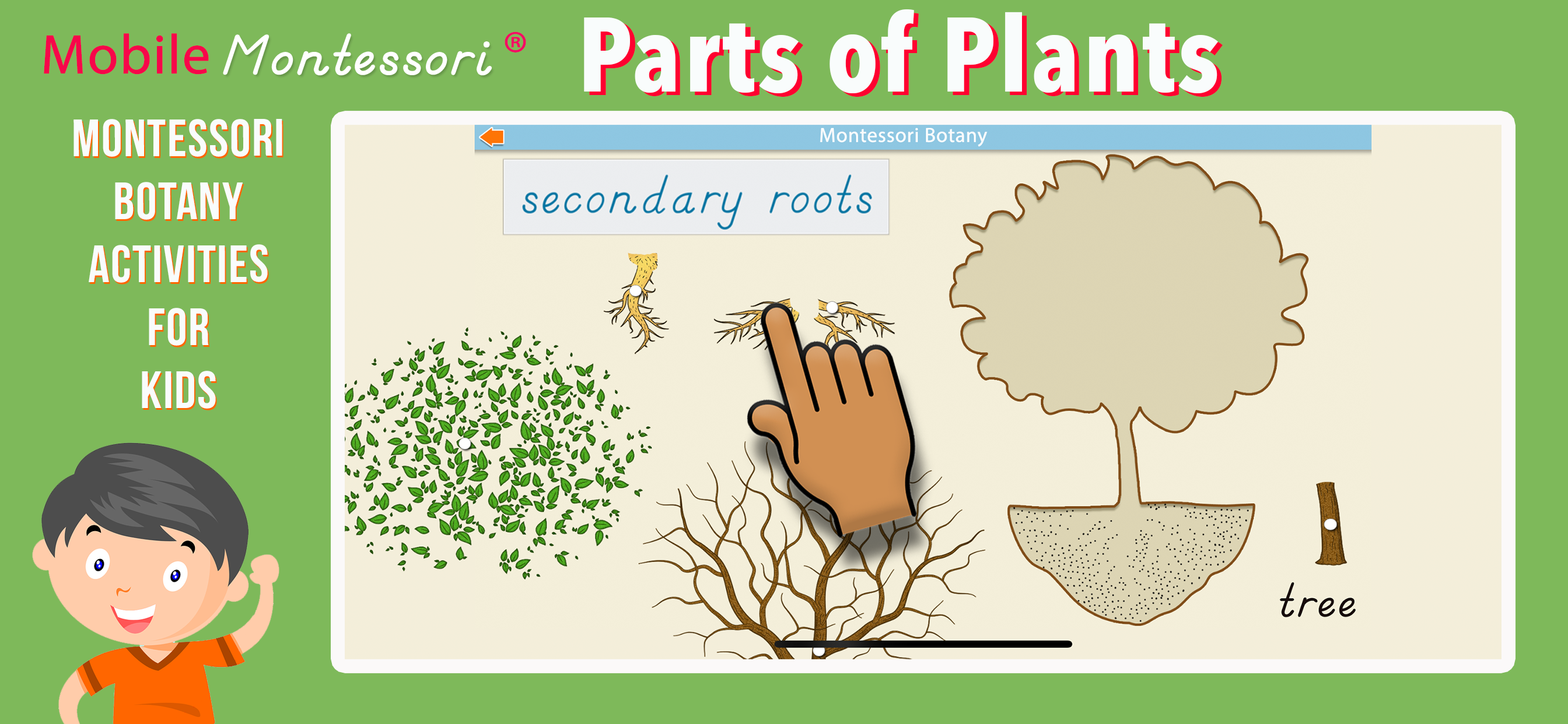 Learn Botany - Parts of Plants