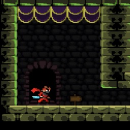 Dungeon Speed Run Style